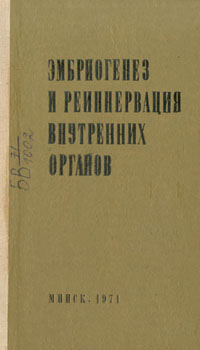 Эмбриогенез и реиннервация внутренних органов. Голуб
