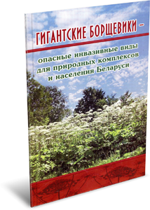 
Гигантские борщевики — опасные инвазивные виды для природных комплексов и населения Беларуси. Прохоров