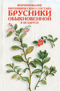 Формирование биохимического состава брусники обыкновенной в Беларуси. Рупасова