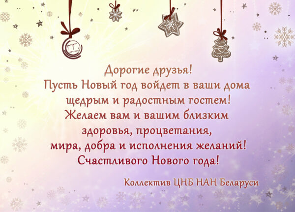 С Рождеством и Новым годом!