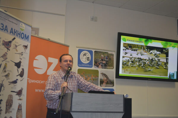 Зоочетверг: Птицы города — за час!