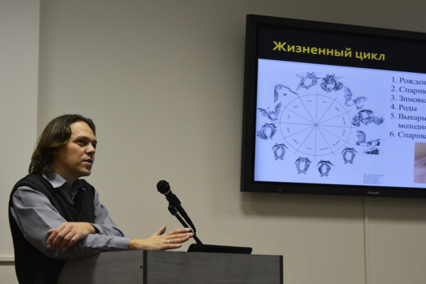 Зоочетверг: Летучие мыши