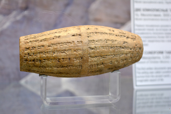 Выставка «Беларусь и Библия»