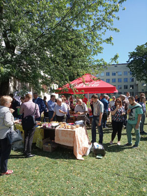 «Научный пикник» Института физики НАН Беларуси