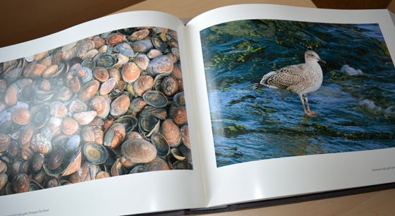 Лимитированное издание книги «ANTARCTICA»