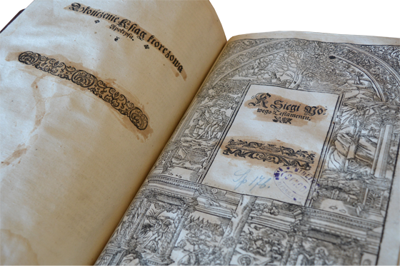 Брэсцкая Біблія