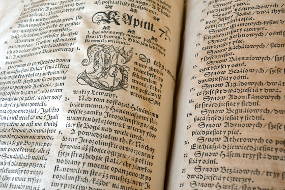 Брэсцкая Біблія