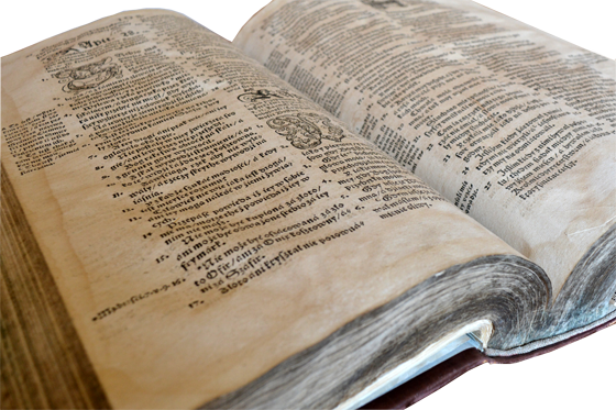 Брэсцкая Біблія