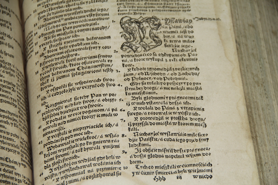 Брэсцкая Біблія