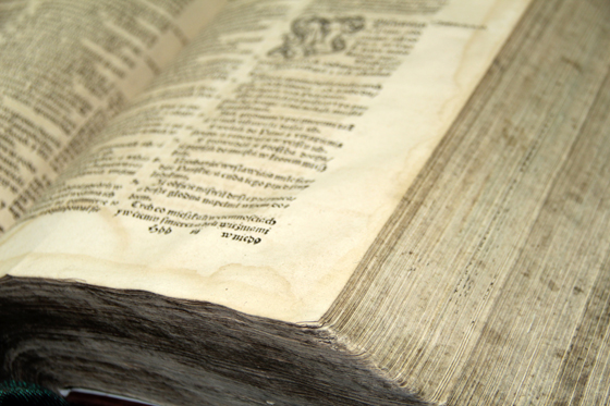 Брэсцкая Біблія