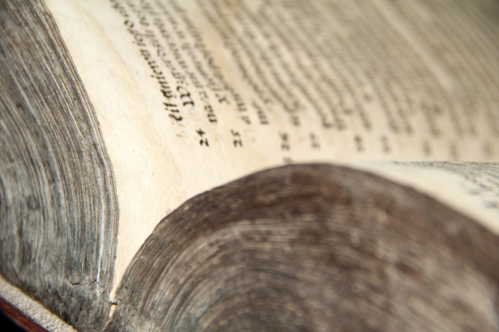 Брэсцкая Біблія