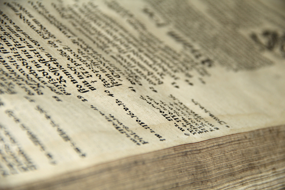 Брэсцкая Біблія