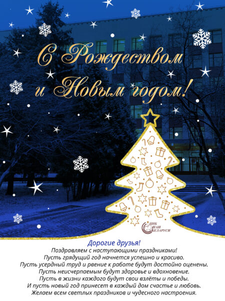 С Рождеством и Новым годом!