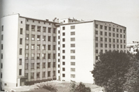 Михаил Павлович Стрижонок