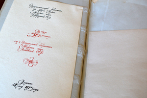 Михаил Павлович Стрижонок