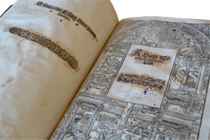 Михаил Павлович Стрижонок