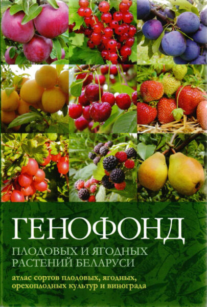 Выставка «Развитие генетических технологий сегодня»