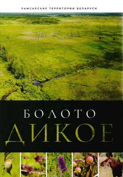 Выставка «Биологическое разнообразие болотных экосистем»