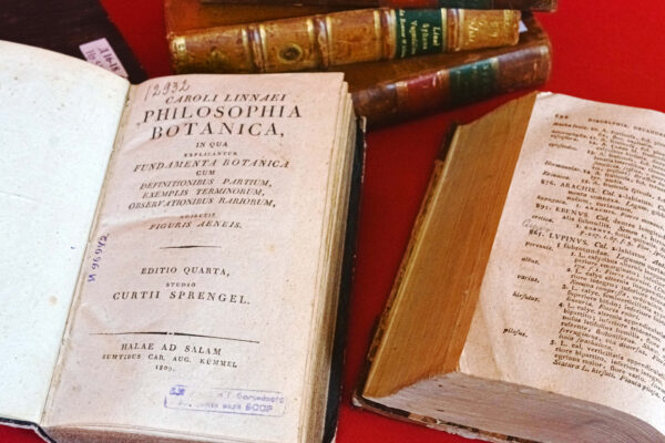 Карл Лінэй: да 315-годдзя з дня нараджэння