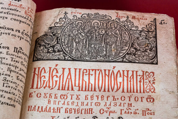 Трыёдзь каляровая