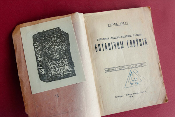 Зоська Верас. Пчолы бароняць вуллі свае