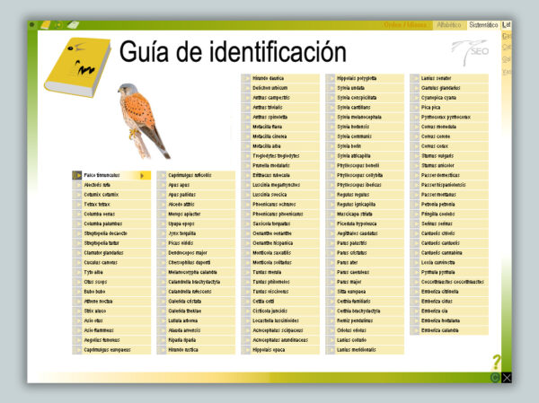 Книги о птицах