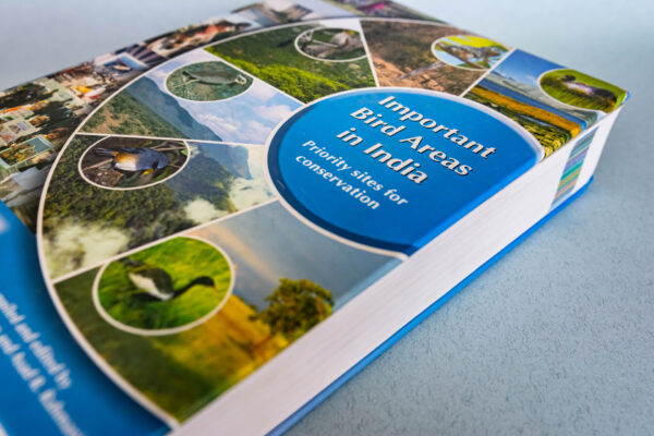 Книги о птицах