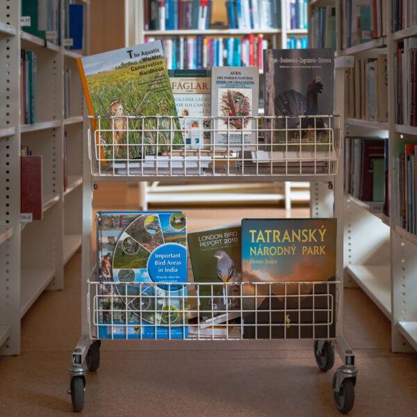 Книги о птицах