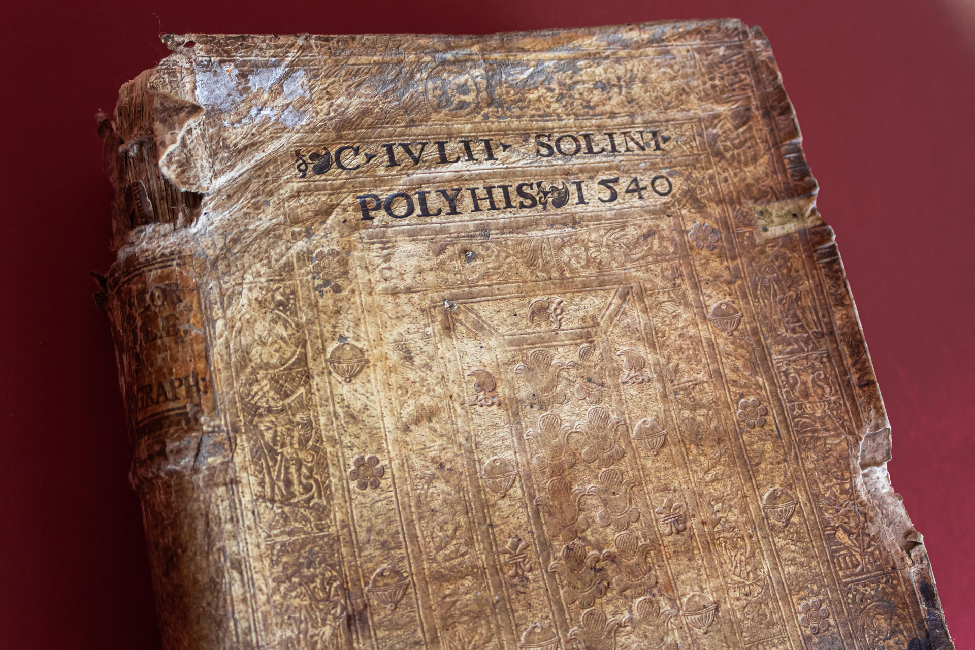 Polyhistor, Rerum toto Orbe Memorabilium Thesaurus Locupletissimus
