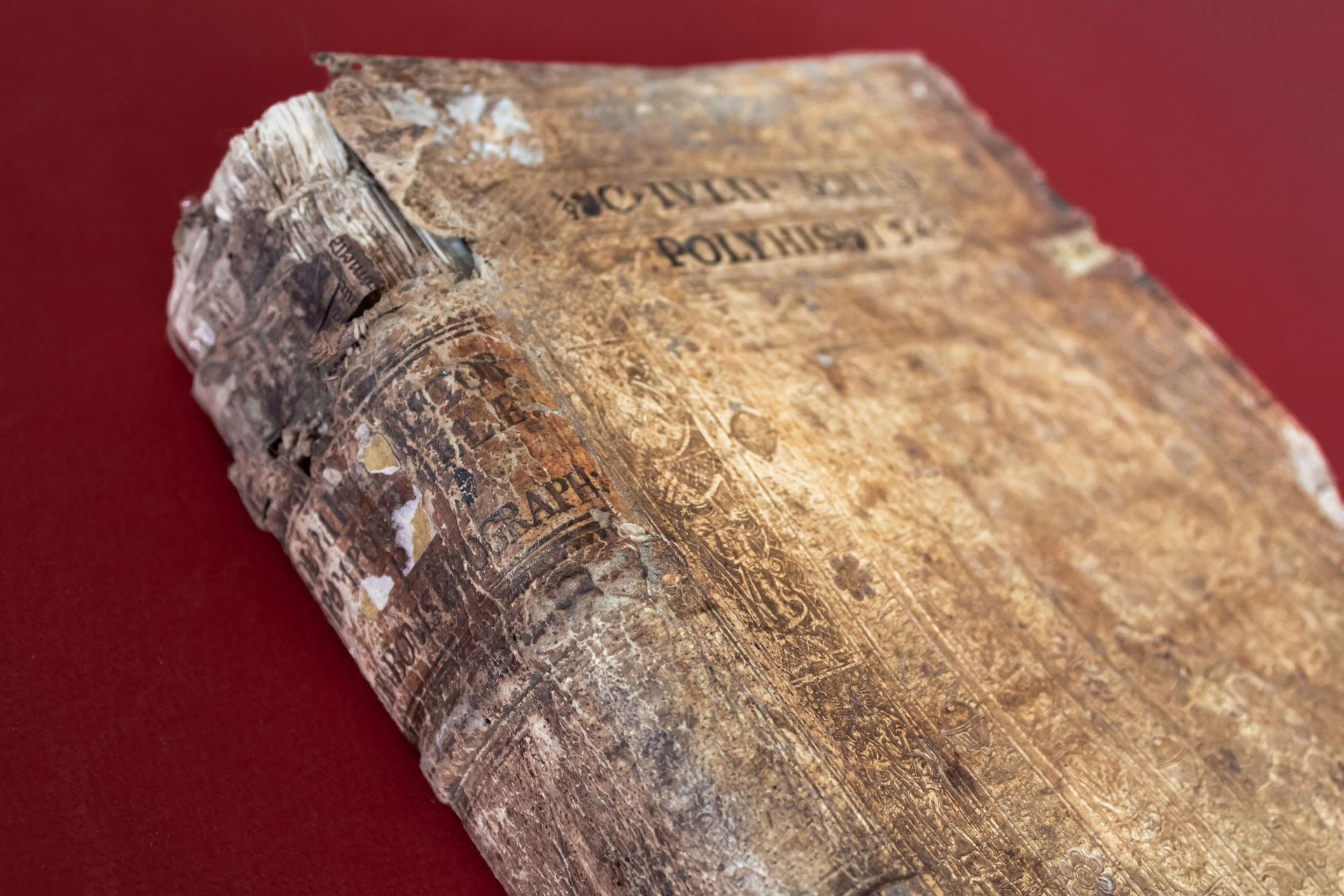 Polyhistor, Rerum toto Orbe Memorabilium Thesaurus Locupletissimus