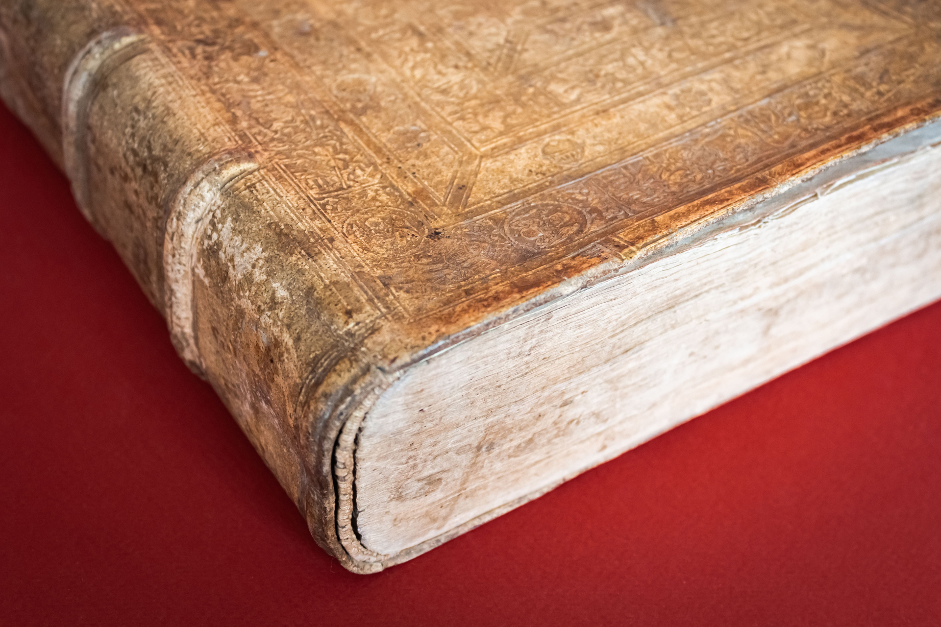 Polyhistor, Rerum toto Orbe Memorabilium Thesaurus Locupletissimus