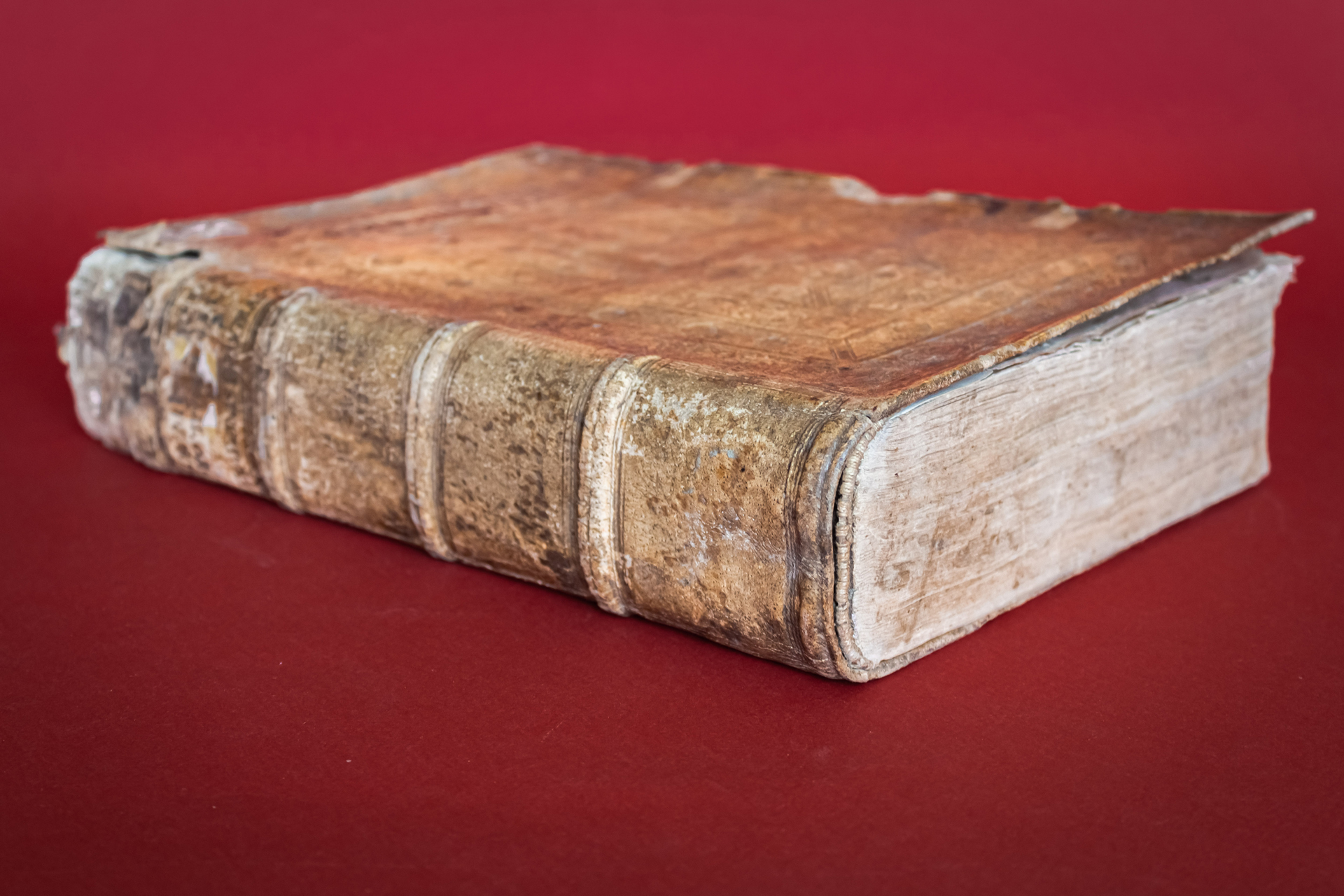 Polyhistor, Rerum toto Orbe Memorabilium Thesaurus Locupletissimus