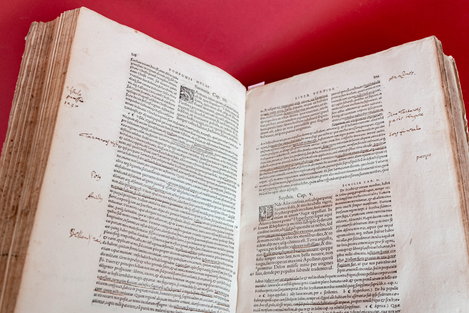 Polyhistor, Rerum toto Orbe Memorabilium Thesaurus Locupletissimus