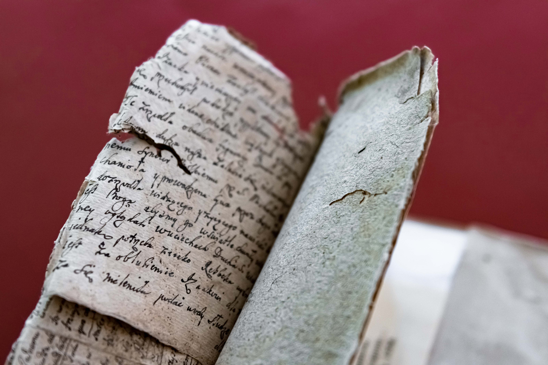 «Romanorum principum et eorum quorum maxima in Italia imperia everunt»