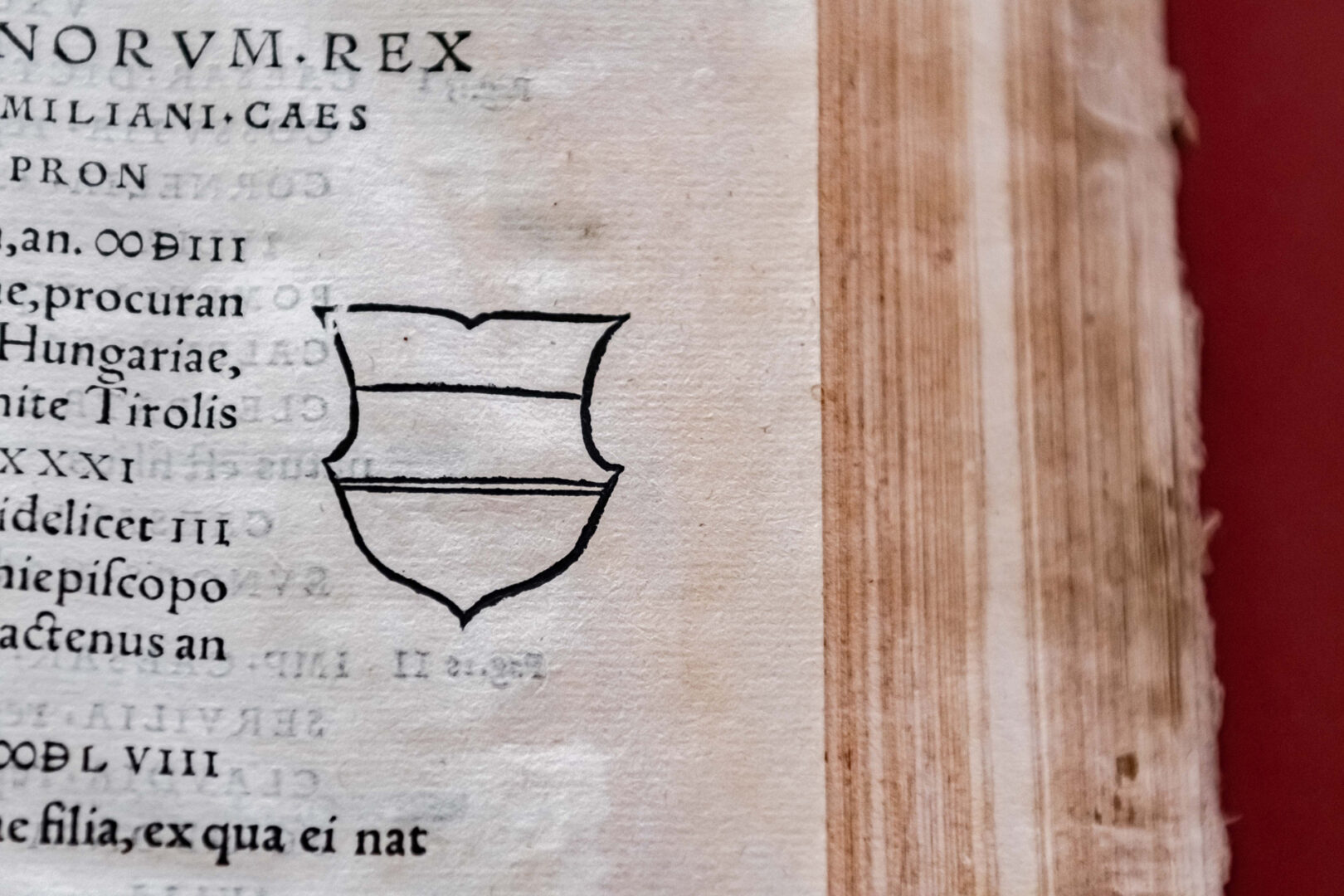 «Romanorum principum et eorum quorum maxima in Italia imperia everunt»