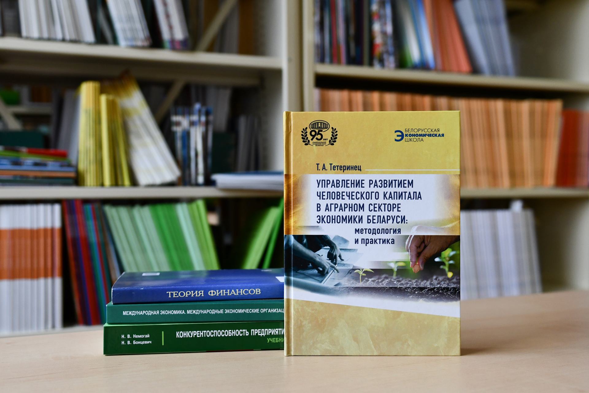 Новые поступления: экономика