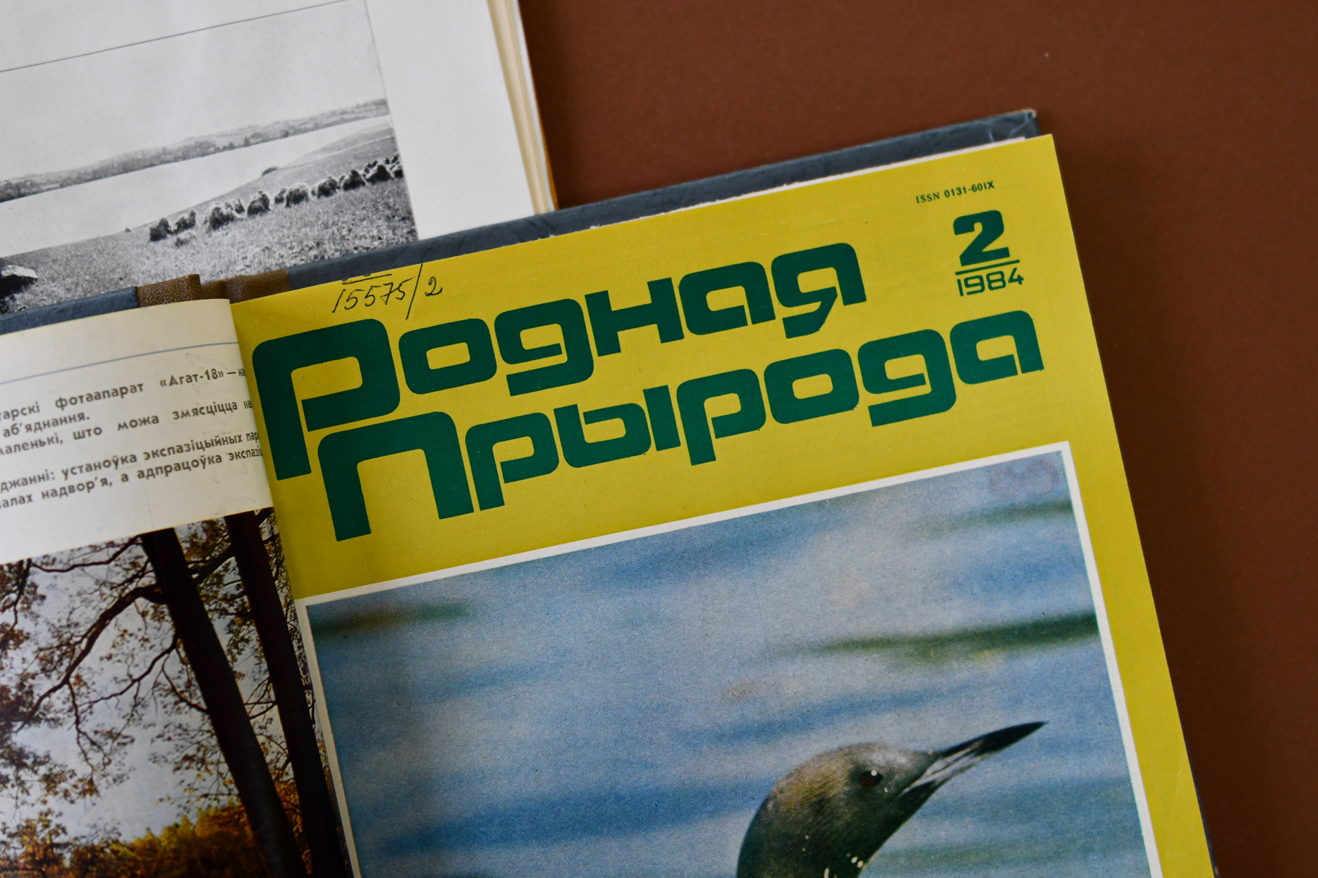 Ганна Місуна: “Баязлівец памірае ўвесь час, смелы — адзін раз”