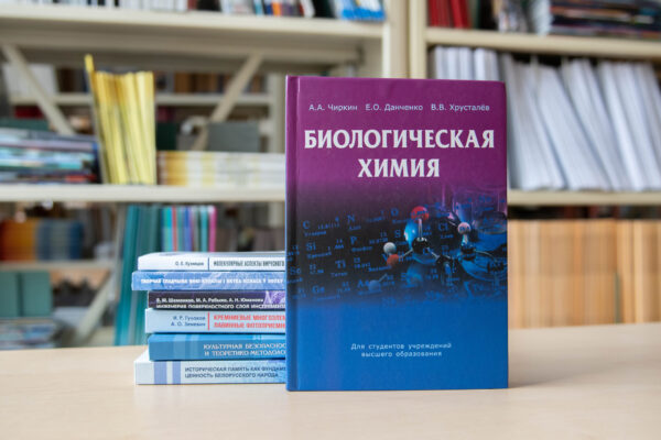 Новые поступления