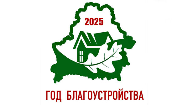 Об объявлении 2025 года Годом благоустройства