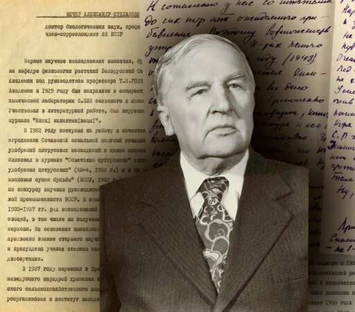 Вечер Александр Степанович