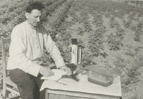 На опытном картофельном поле Белорусской сельскохозяйственной академии. 1958 г.