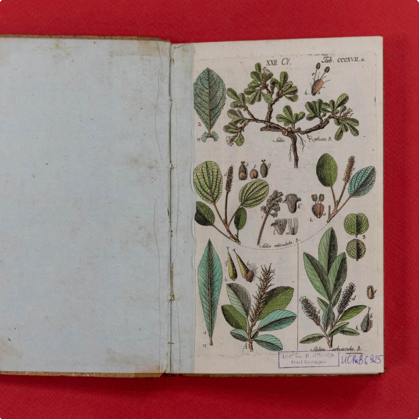 Botanisches Handbuch, vols. 4