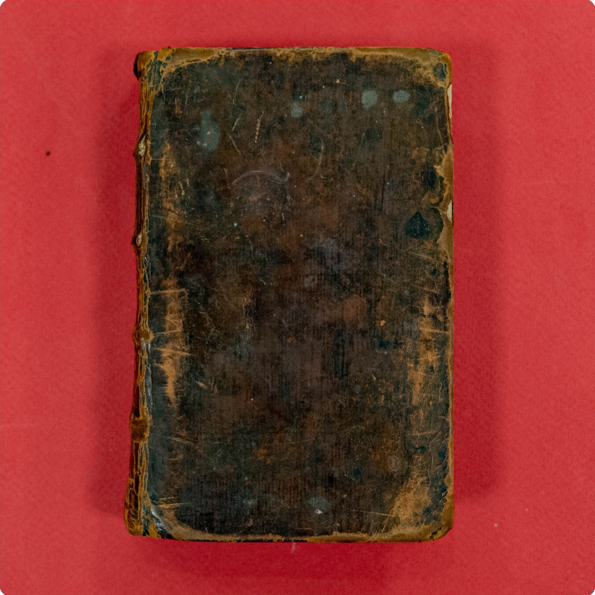 Приёмы циркуля и линейки, или избраннейшее начало в математических искусствах