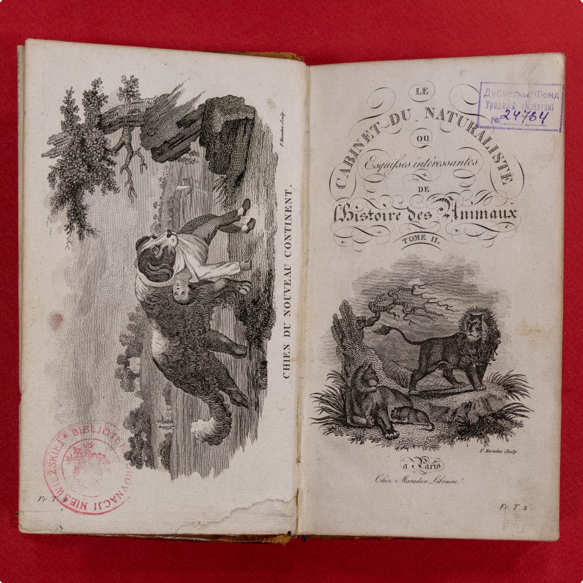 «Le cabinet du jeune naturaliste ou Tableaux intéressants de l'histoire des animaux»