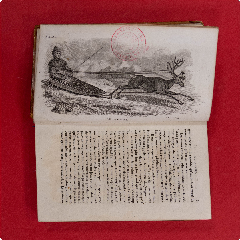 «Le cabinet du jeune naturaliste ou Tableaux intéressants de l'histoire des animaux»