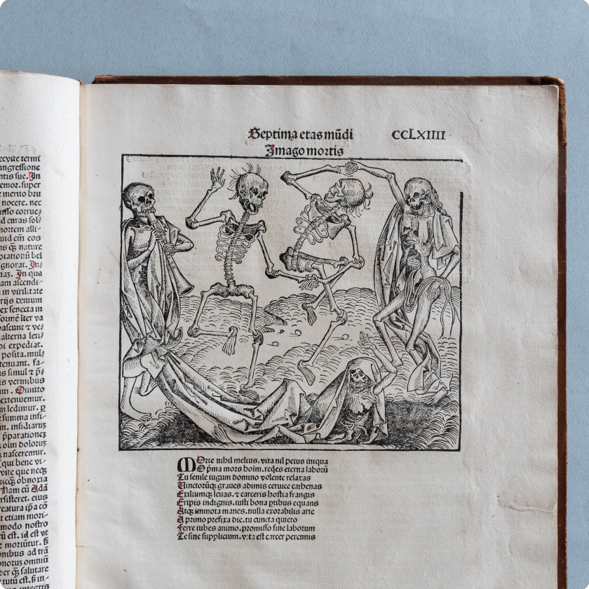 «Всемирная хроника» Хартман Шедель