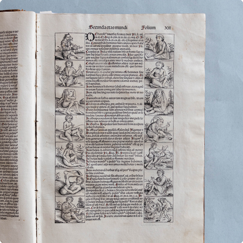 «Всемирная хроника» Хартман Шедель