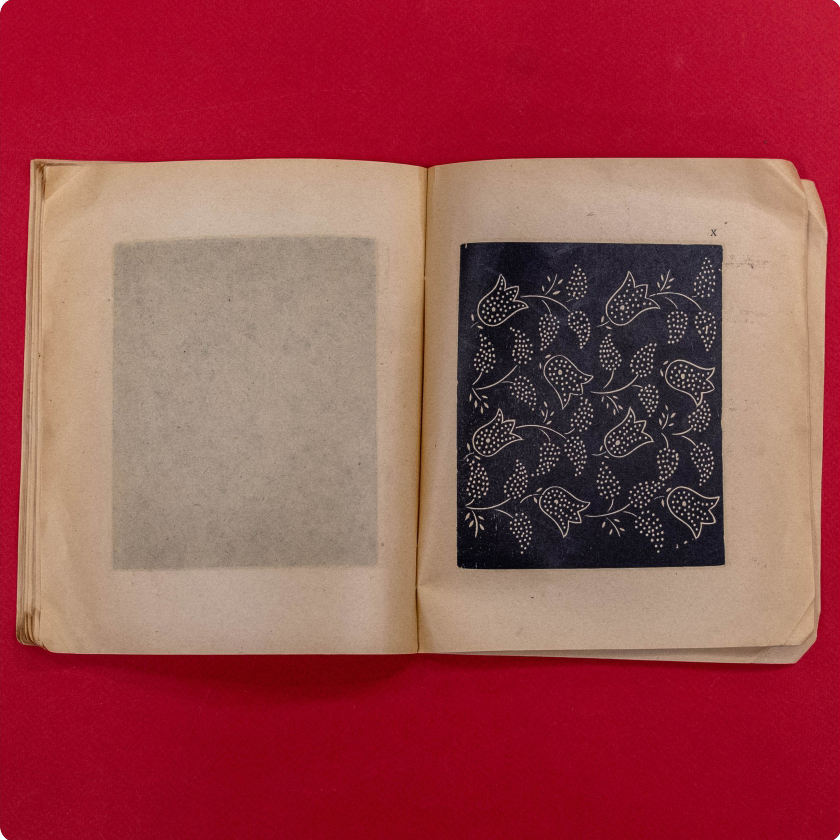 Крашаніна: матэрыялы да гісторыі яе ў Віцебшчыне