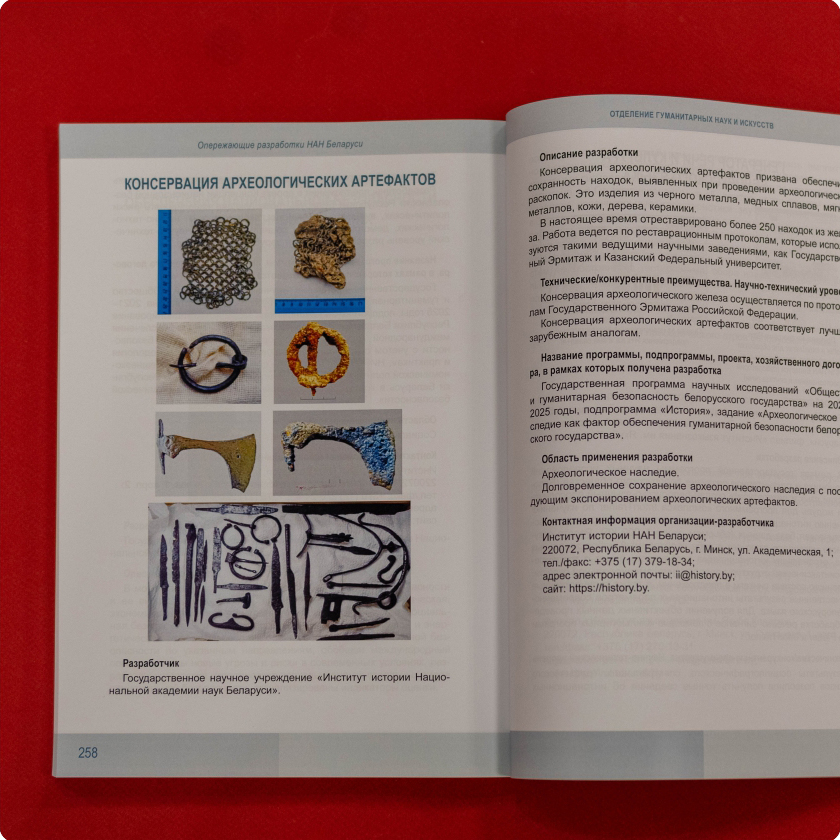 Опережающие разработки НАН Беларуси