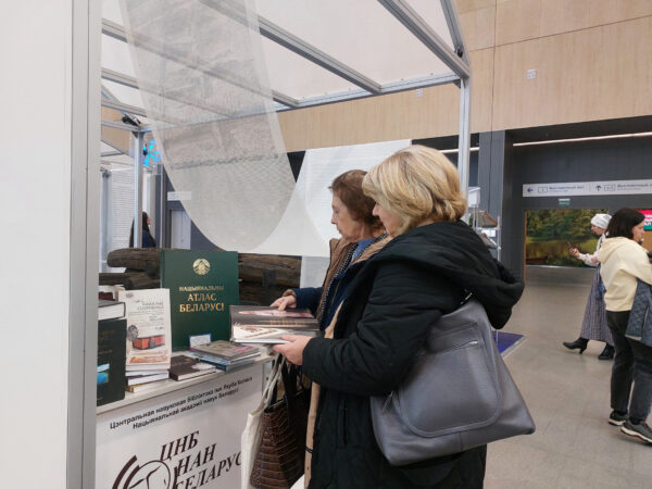 Выставка достижений суверенной Беларуси «Моя Беларусь»